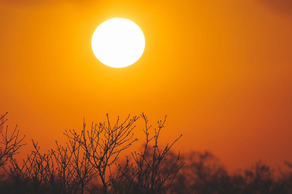 The Dangers of Attic Heat During the Summer and How "The Attic Lift" Can Help